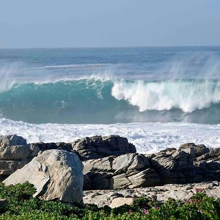 Whales & Waves Villa Hermanus Dış mekan fotoğraf