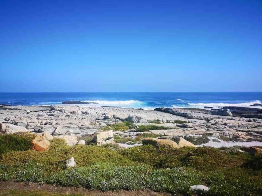 Whales & Waves Villa Hermanus Dış mekan fotoğraf